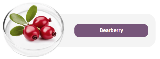 Bearberry