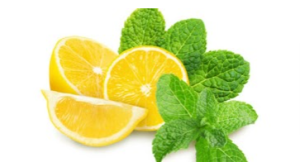 Natural Lemon and Mint flavor