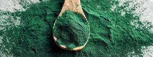 Spirulina